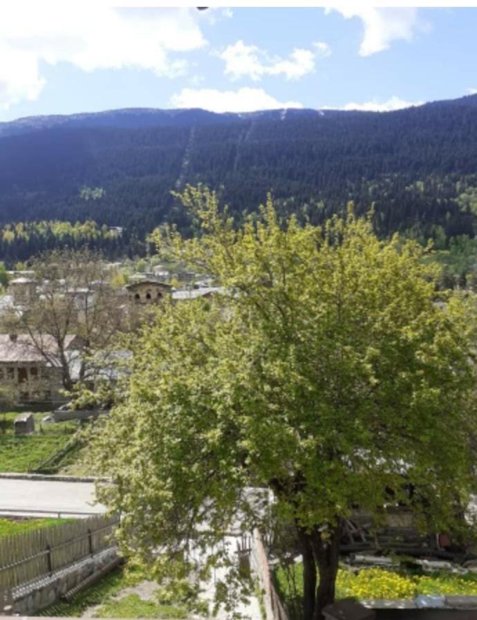 מסטיה Hotel White Mountains • Თეთრი Მთები מראה חיצוני תמונה
